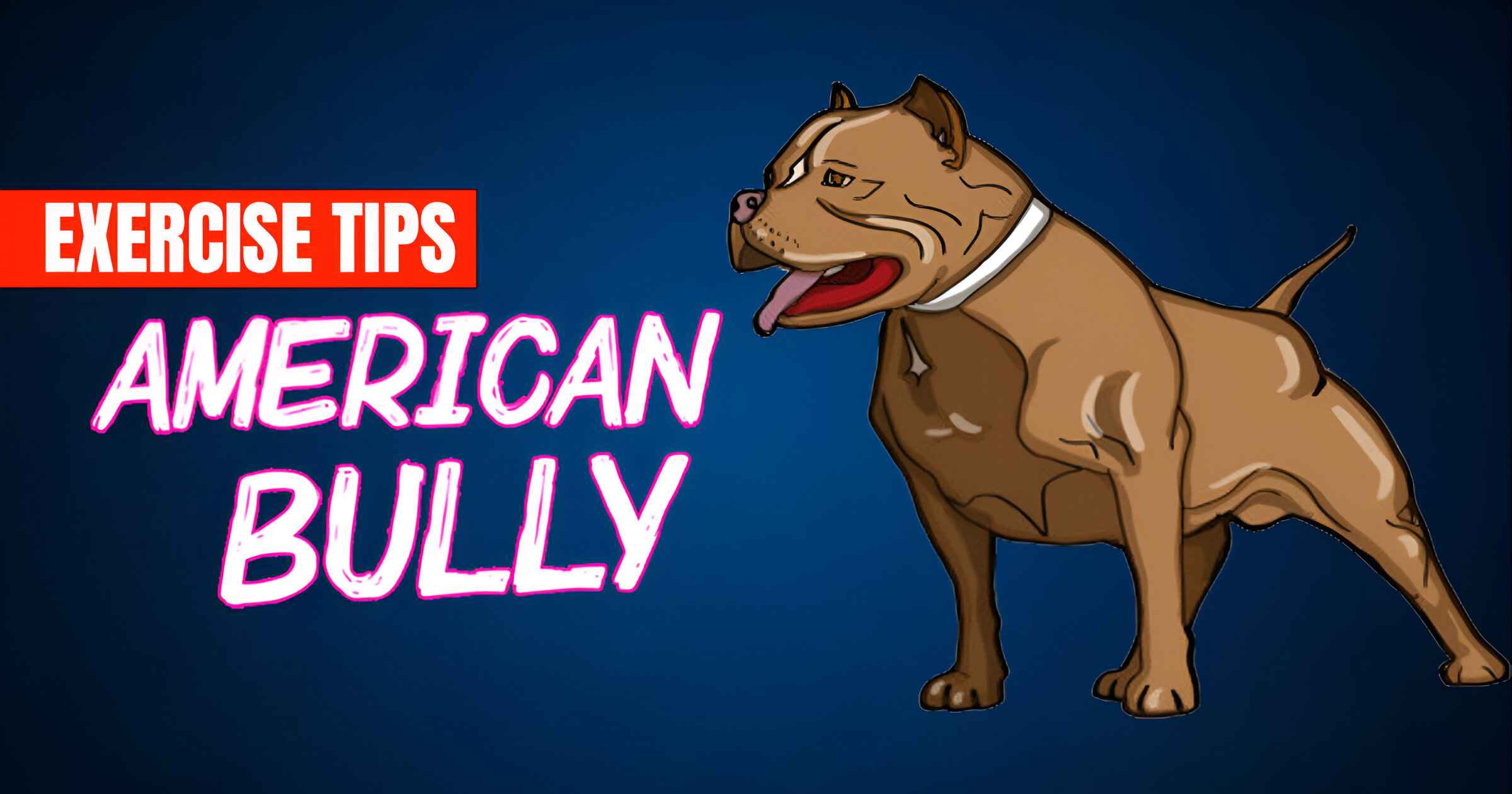 Exercise Guidelines for American Bully